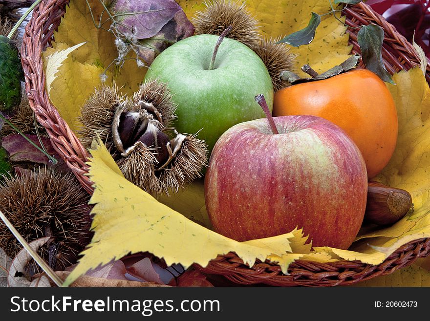 Autumnal fruit composition with apples, Asian Persimmon (Diospyros kaki) and chestnut on a leaf bed. Autumnal fruit composition with apples, Asian Persimmon (Diospyros kaki) and chestnut on a leaf bed