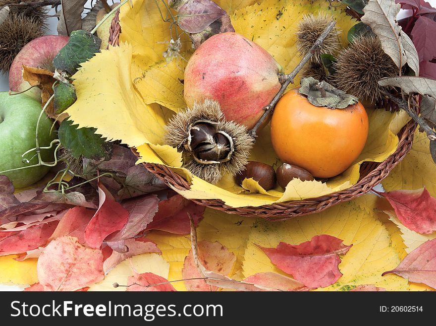 Autumnal fruit composition with apples, Asian Persimmons (Diospyros kaki), pomegranate, chestnuts and burs on dry leaves. Autumnal fruit composition with apples, Asian Persimmons (Diospyros kaki), pomegranate, chestnuts and burs on dry leaves