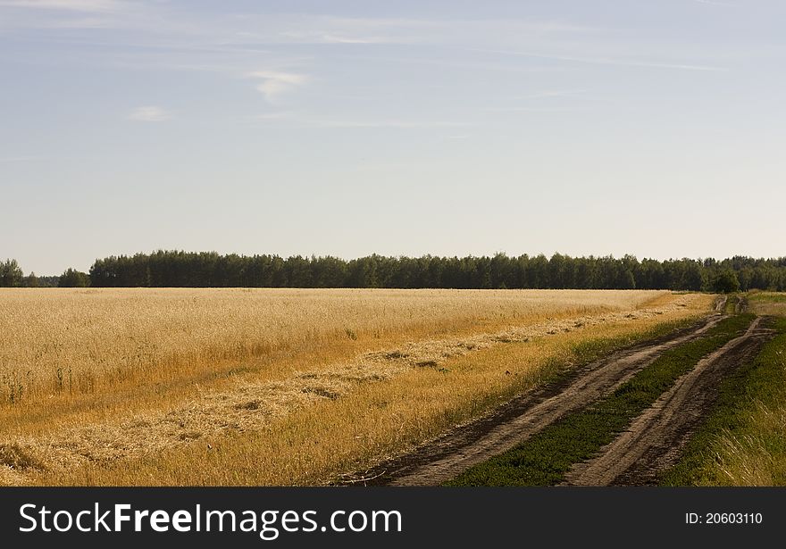 Country road on a hot summer day