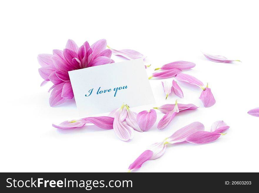 Says I love you on a background of beautiful flowers