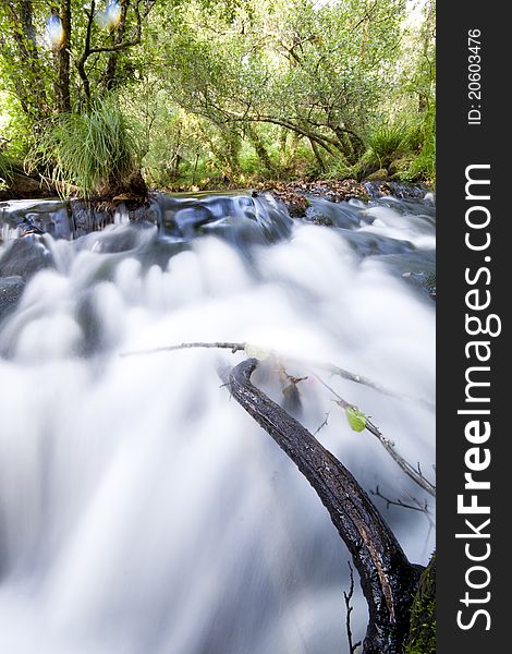 Peaceful mountain stream flows through forest. Peaceful mountain stream flows through forest