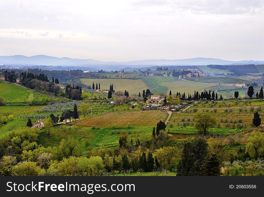 Typical Tuscany landscape in spring