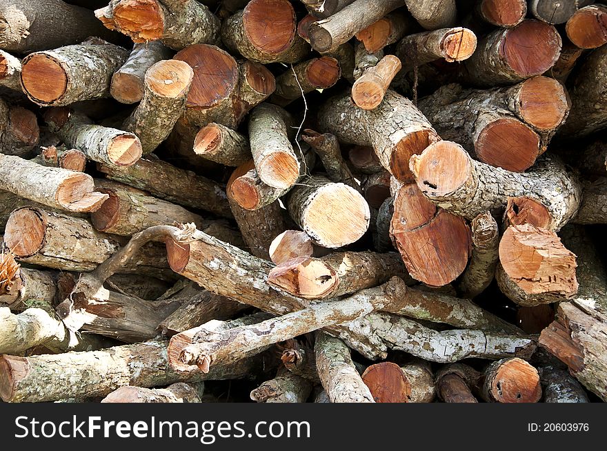 Firewood for use as fuel in winter. Firewood for use as fuel in winter