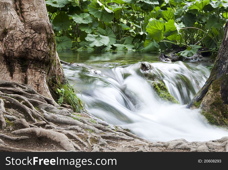 Stream In The Park