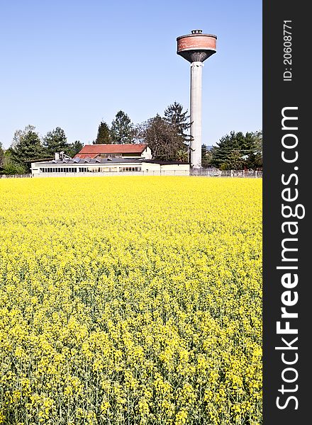 Water tower in a field of yellow flowers during spring season. Water tower in a field of yellow flowers during spring season