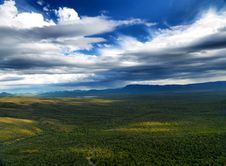 Look Out Forest Stock Photography Look Out Forest Stock Photography