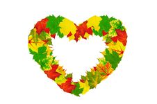 Heart Shape Made By Maple Autumn Leaves Stock Image Heart Shape Made By Maple Autumn Leaves Stock Image