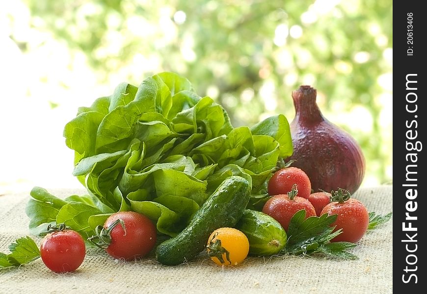 Different fresh vegetables on natural background. Selective focus