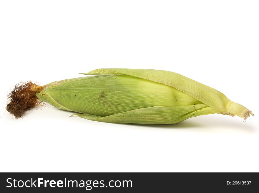 Fresh corn isolated on light background