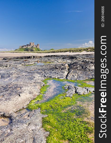 Bamburgh Castle with seaweed and rock pool in foreground