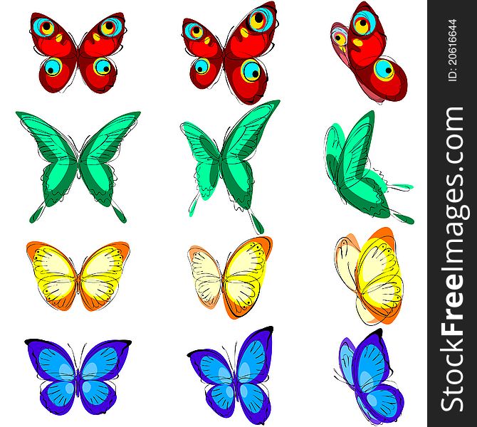 A set of different butterflies, various types, color options and location. A set of different butterflies, various types, color options and location