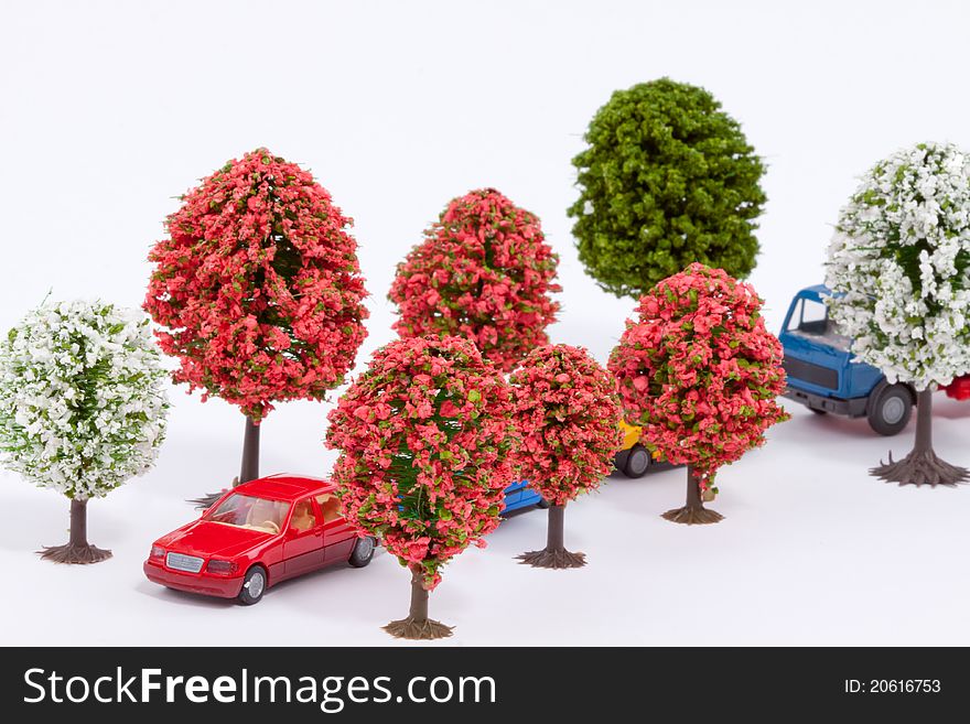 Several cars drive through beautiful colorful trees. Several cars drive through beautiful colorful trees
