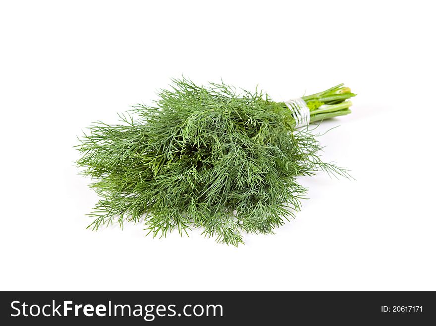 Dill isolated on white background. Dill isolated on white background