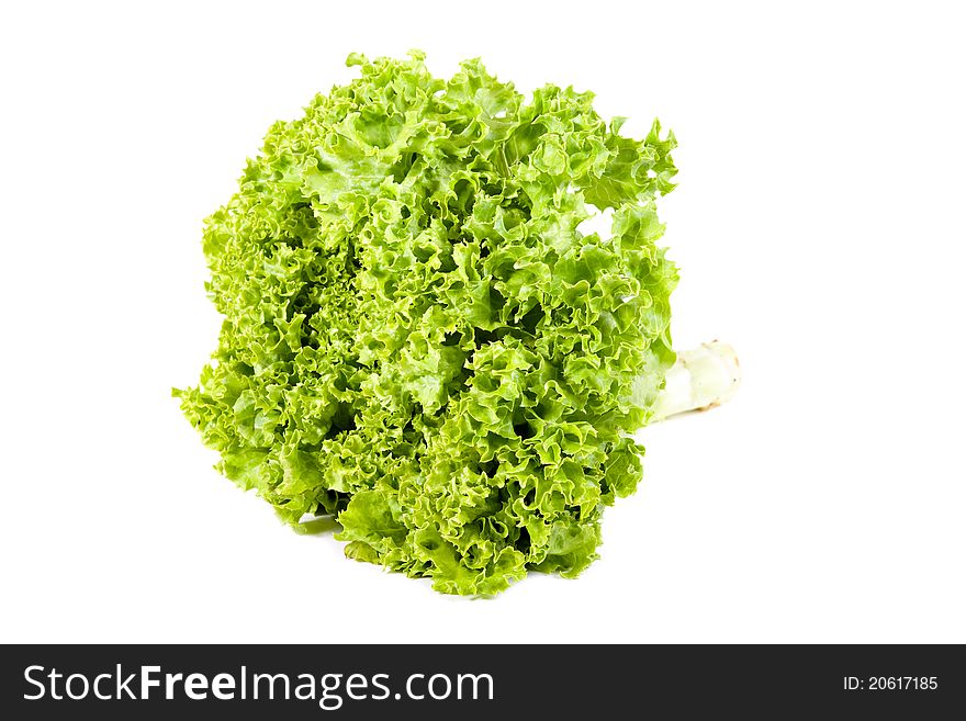 Bunch of fresh green salad isolated over white