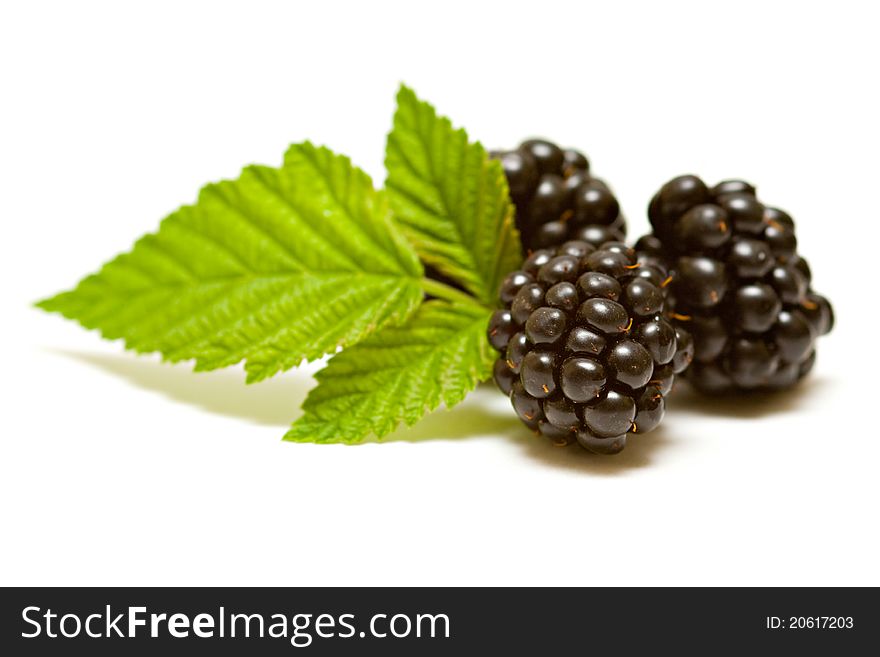 Blackberries isolated on white background