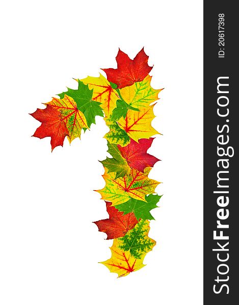 Autumn maple Leaves in the shape of number One