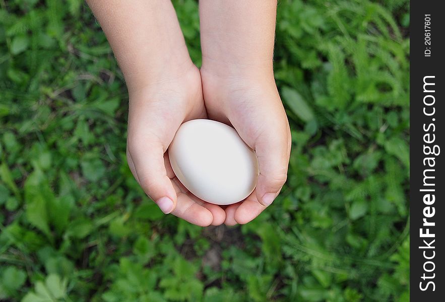 The egg is in children's hands. The egg is in children's hands