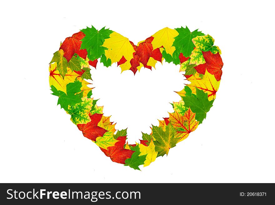 Heart shape made by maple autumn leaves isolated on white