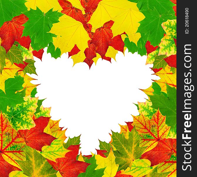 Heart shape bright autumn leaves frame on white background. Heart shape bright autumn leaves frame on white background