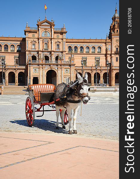 Horse drawn carriage tour donkey at Plaza España, Seville, Spain. Horse drawn carriage tour donkey at Plaza España, Seville, Spain