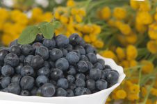 Bilberries Royalty Free Stock Images Bilberries Royalty Free Stock Images