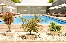 Tree Garden With Swimming Pool Royalty Free Stock Photo Tree Garden With Swimming Pool Royalty Free Stock Photo