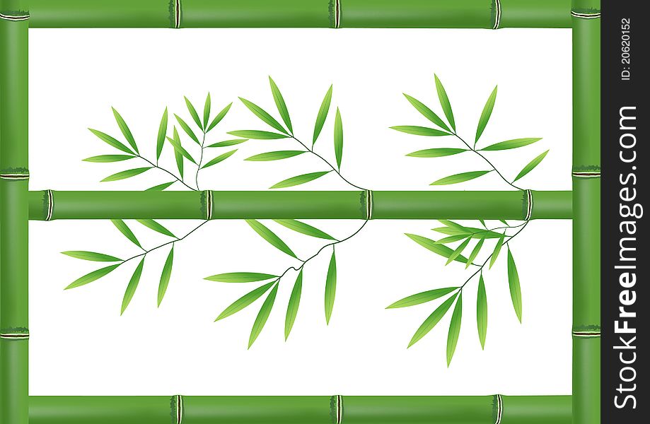 Bamboo frame on a white background
