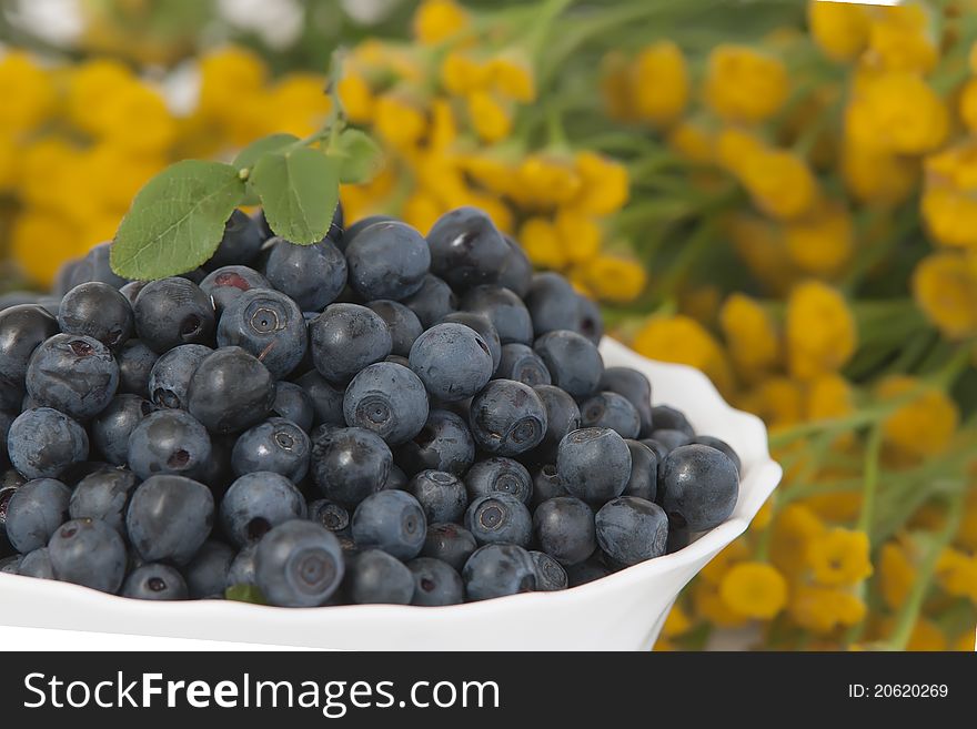 Bowl of bilberries on background of tansy flowers