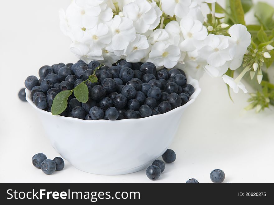Bowl of bilberries on  background of phlox flowers