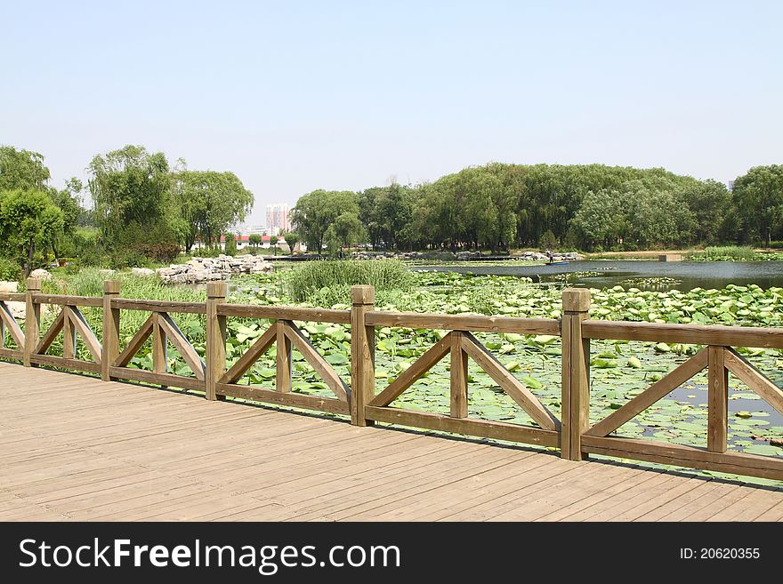 Lotus pond and bridge in a park