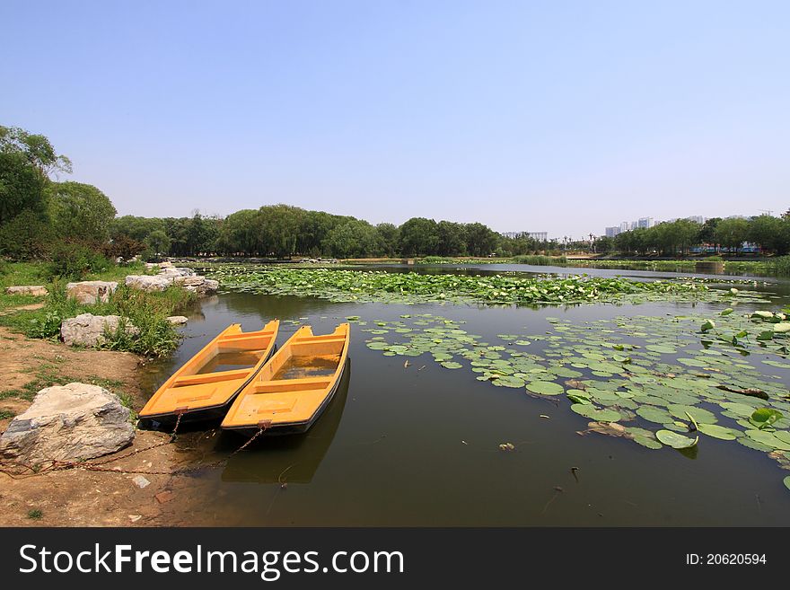 Lotus pond scenery in a park in china