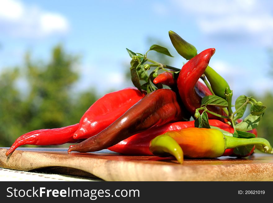 Pile of red hot peppers outdoors.