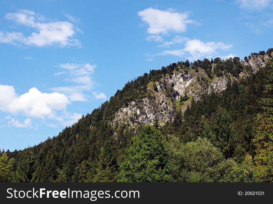 Mountain covered with forest and blue sky. Mountain covered with forest and blue sky