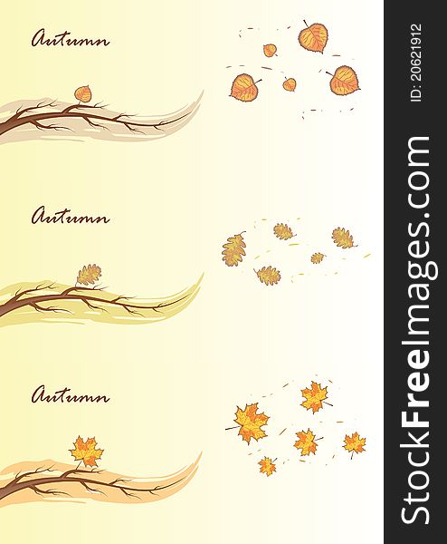Autumn branches and leaves in the wind. Vector Illustration. Autumn branches and leaves in the wind. Vector Illustration.