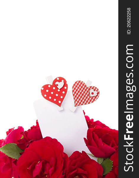 Bouquet of beautiful red roses with a blank gift card. Isolated