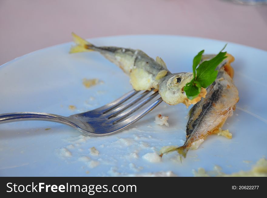 Fried fish on plate in order to eat