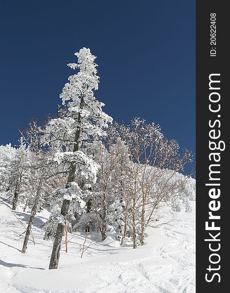 Snow mountains in Nagano Japan