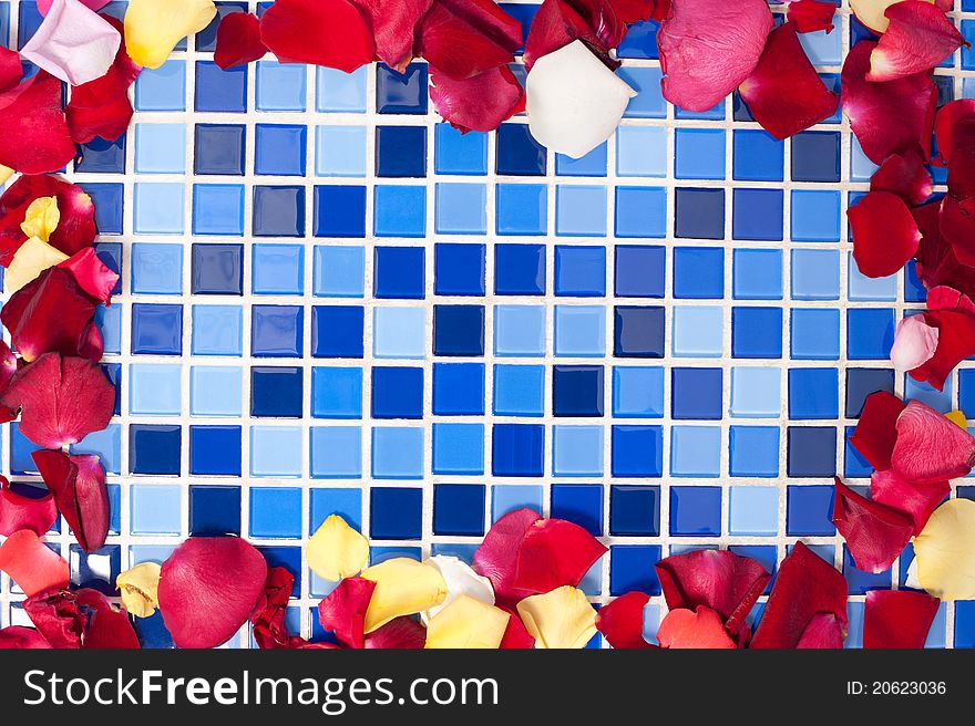 Frame of multi-colored rose petals in the bathroom on a tile mosaic