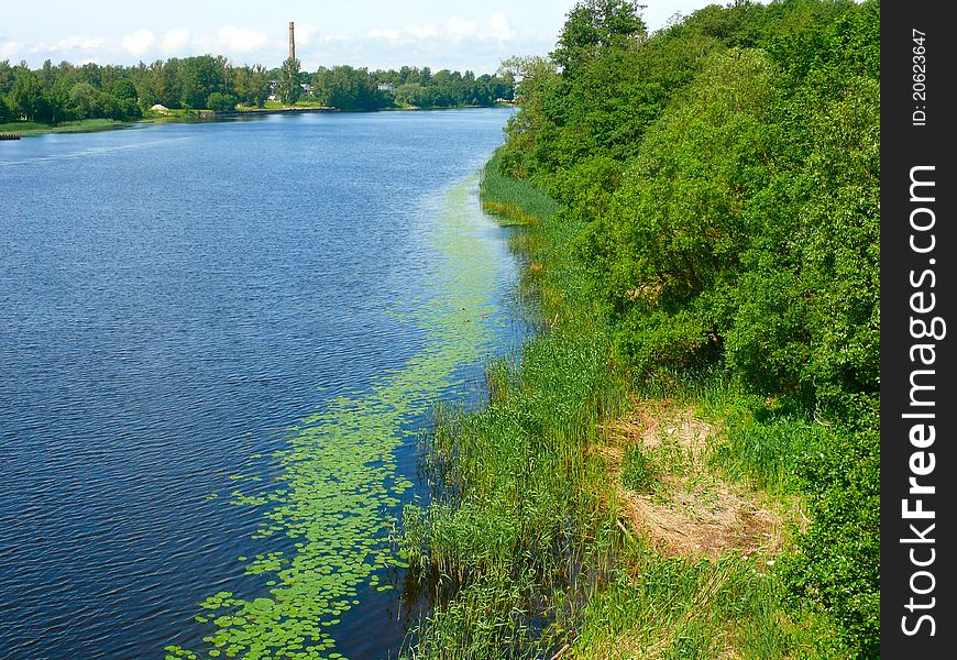 Green field near the river under blue sky