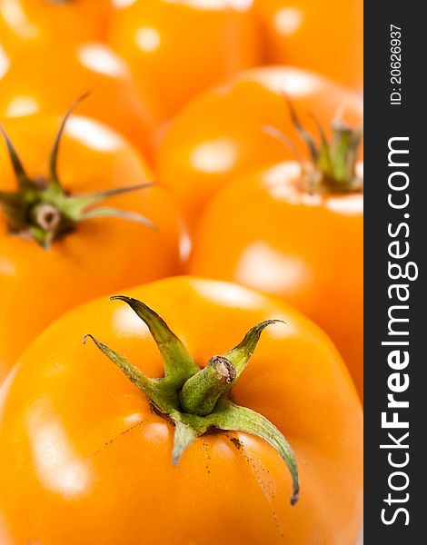 Bunch of shiny orange tomatoes