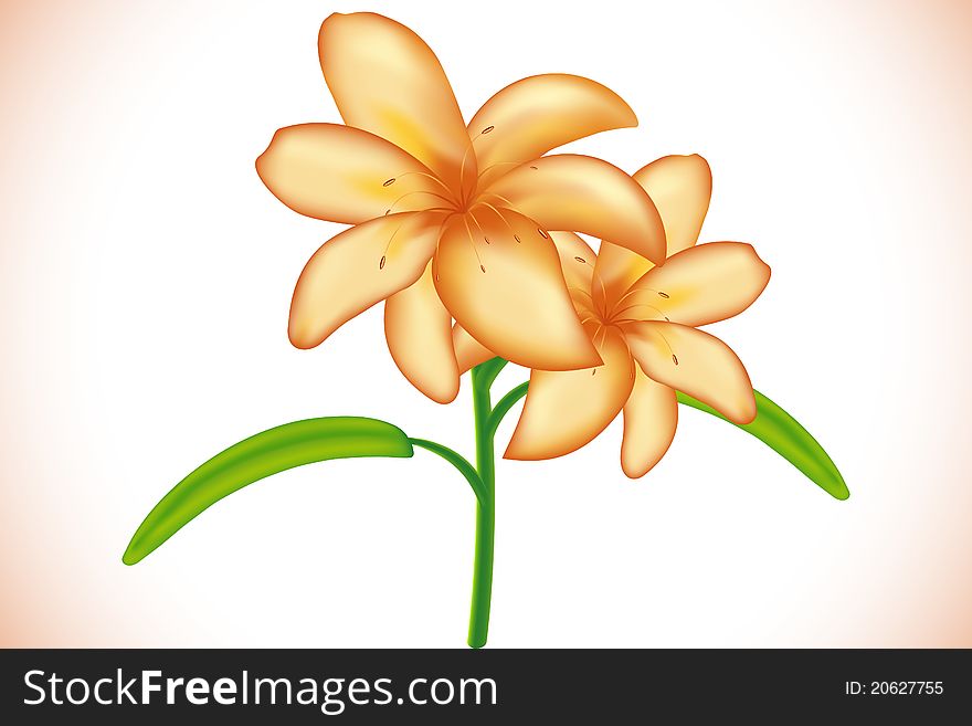 Illustration of fresh flower on abstract background