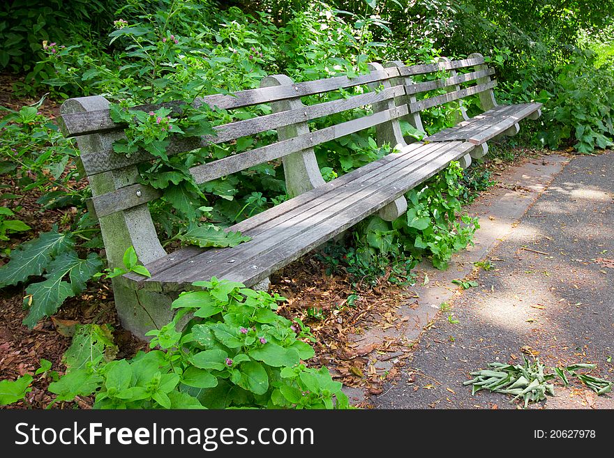 Restful park bench covered in greenery. Restful park bench covered in greenery.
