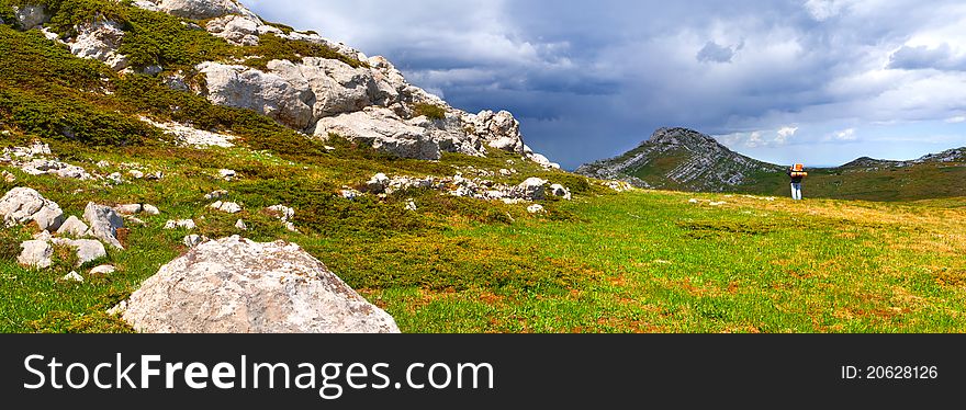 Summer landscape in the mountains