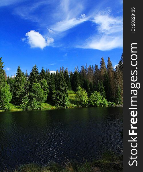 Lake Landscape under blue sky and white clouds. Laka in Sumava.