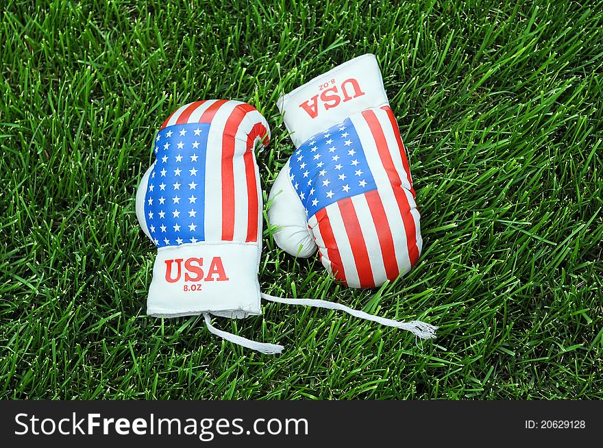 Pair of used boxing gloves with US national symbol on the green grass