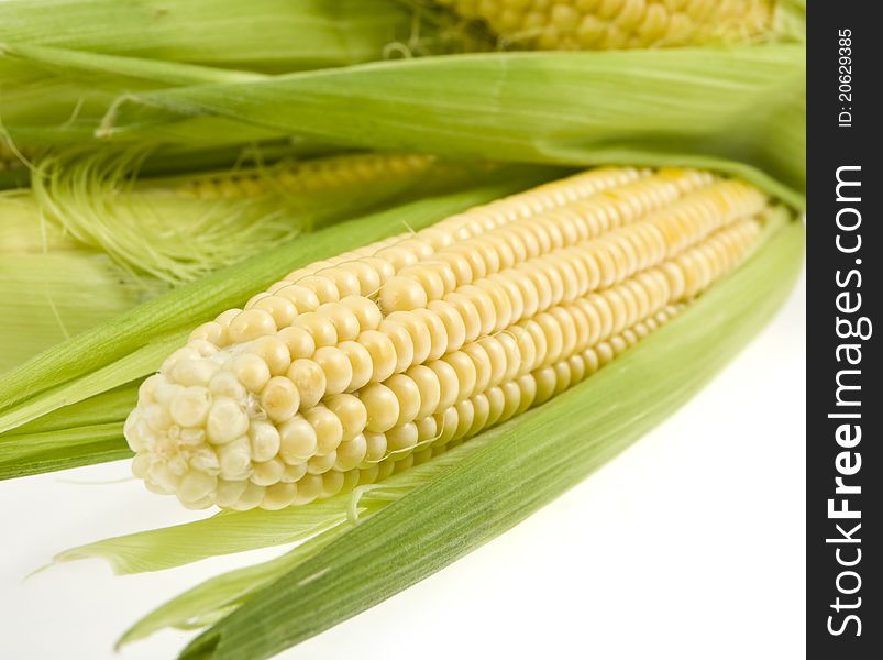 Corn with leaves on a white background