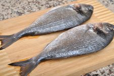 Fresh Fish Royalty Free Stock Images Fresh Fish Royalty Free Stock Images