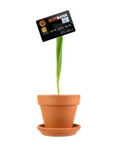 Flower Debt Royalty Free Stock Photo Flower Debt Royalty Free Stock Photo