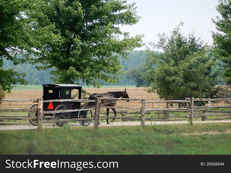 Horse driven carriage in the rural areas