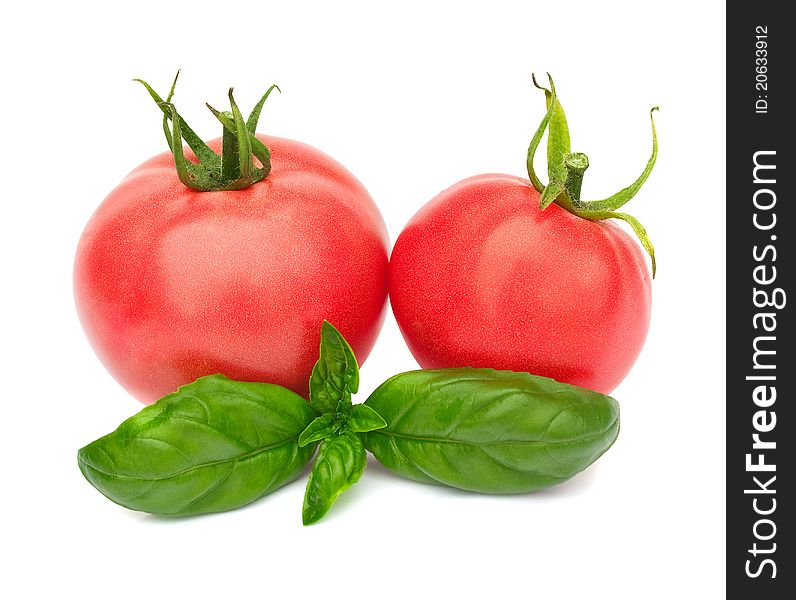 Two ripe tomatoes and basil.  Isolated on white background.